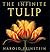The Infinite Tulip by Harold Feinstein (2004-01-14)