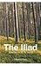 The Iliad: Chapters A, B, G...