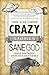 Crazy Stories, Sane God by John Alan Turner