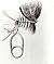 Floating flies and how to dress them