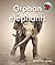 Raintree Orphan elephants (...