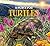 A Place for Turtles by Melissa Stewart(March 1, 2013) Hardcover