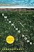 by Levy, Deborah Swimming Home: A Novel (2012) Paperback