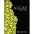 Algae