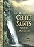 Celtic Saints in their Landscape by Elizabeth Rees (2001-09-25)