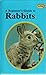 Beginner's Guide to Rabbits
