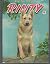 Rin Tin Tin's Rinty: An ori...