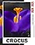 Crocus Calendar 2024 - 2025...