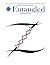 Entangled Magazine: Your Unique Source For Leading-Edge Insights Into The Hidden Aspects of Science and Biblical Scripture