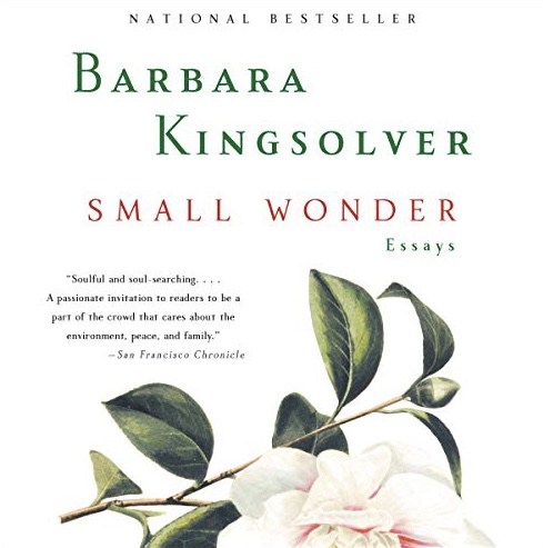 Small Wonder
