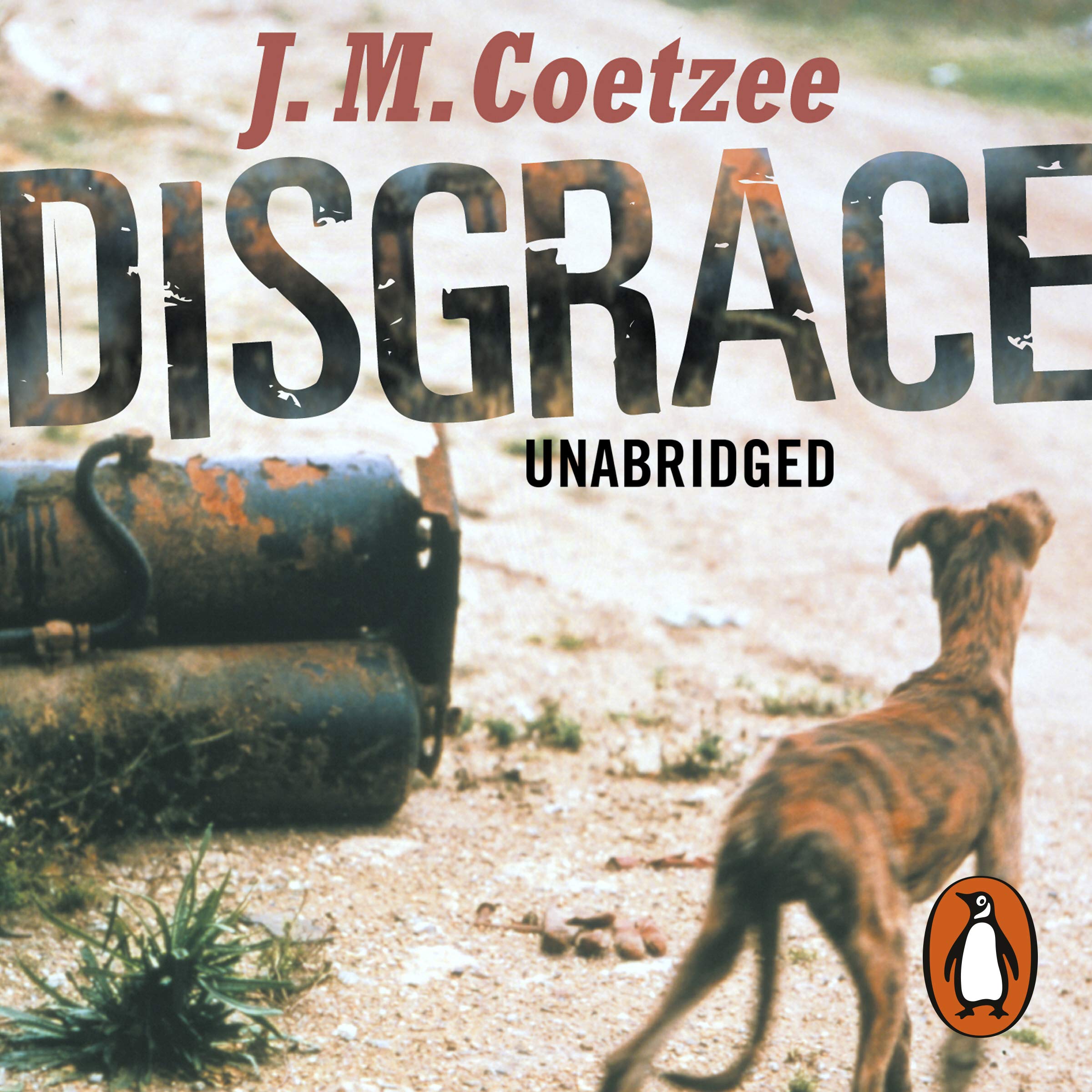 Disgrace: A BBC Radio 4 Good Read