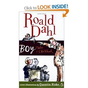 Boy (text only) by R. Dahl,Q. Blake