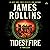 Tides of Fire: A Thriller