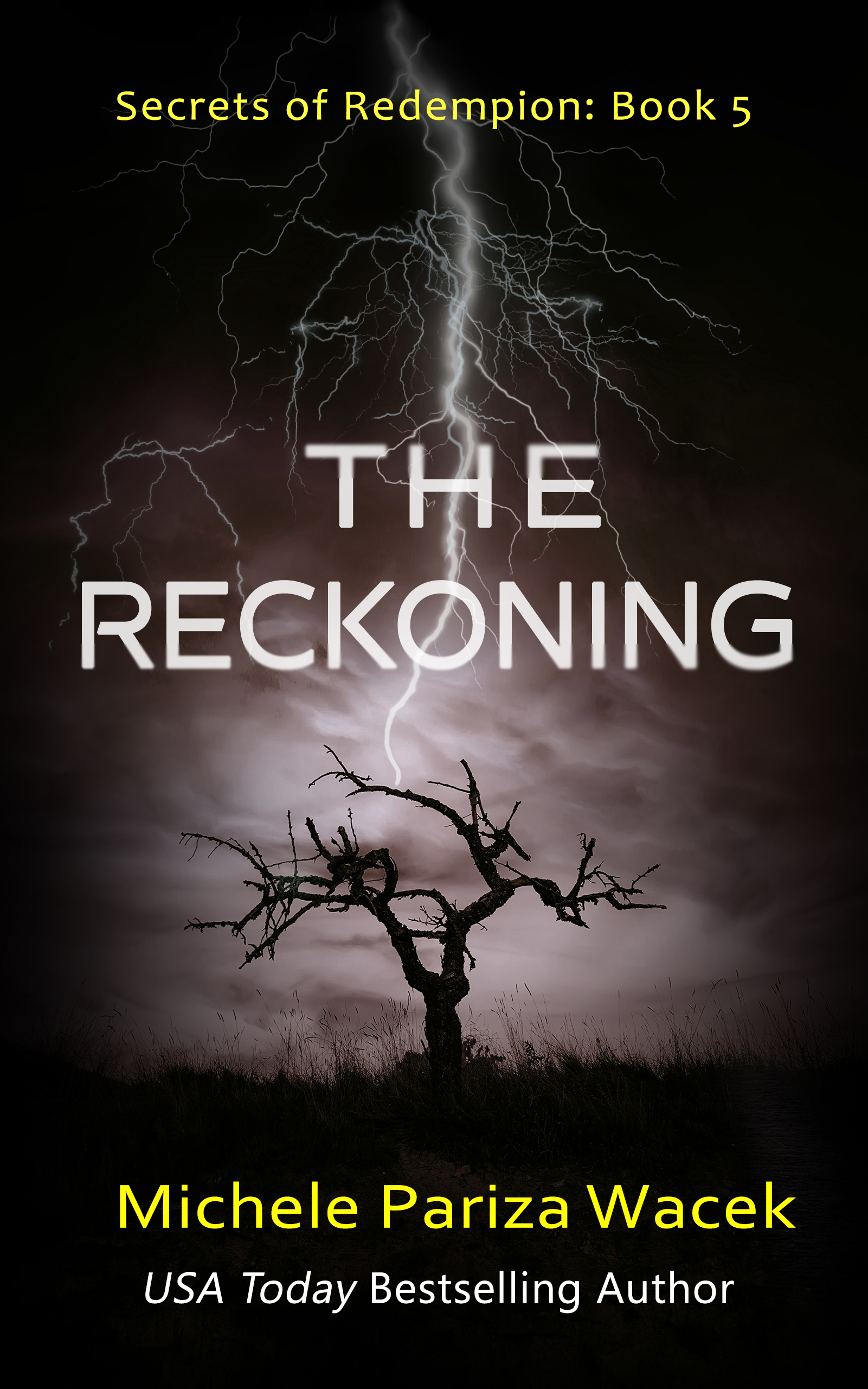 The Reckoning  (Secrets of Redemption #5)