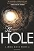 The Hole by Aaron Ross Powell (9-Aug-2011) Paperback by Aaron Ross Powell
