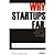 Why Startups Fail: And How Yours Can Succeed by Feinleib, David [Apress, 2011] (Paperback) [Paperback]