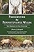 Preserving the Pennsylvania Wilds by Mario Chiappelli