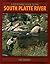 A Fly Fishing Guide to the South Platte River (The Pruett Series) by Pat Dorsey (2007-12-01)