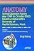 Anatomy Solved Question Papers