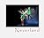 L'Aventure Neverland