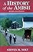History of the Amish: Revised And Updated by Steven M. Nolt (2004-04-01)