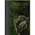 The Tarzan Chronicles (ISBN...