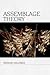 Assemblage Theory (Speculative Realism) by Manuel DeLanda (2016-06-01)