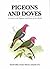 Pigeons and Doves: A Guide to the Pigeons and Doves of the World by David Gibbs (2000-06-01)