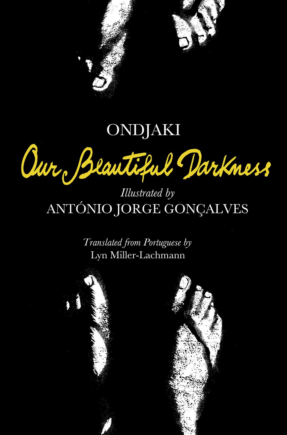 Our Beautiful Darkness: A Graphic Novel (Hardcover)