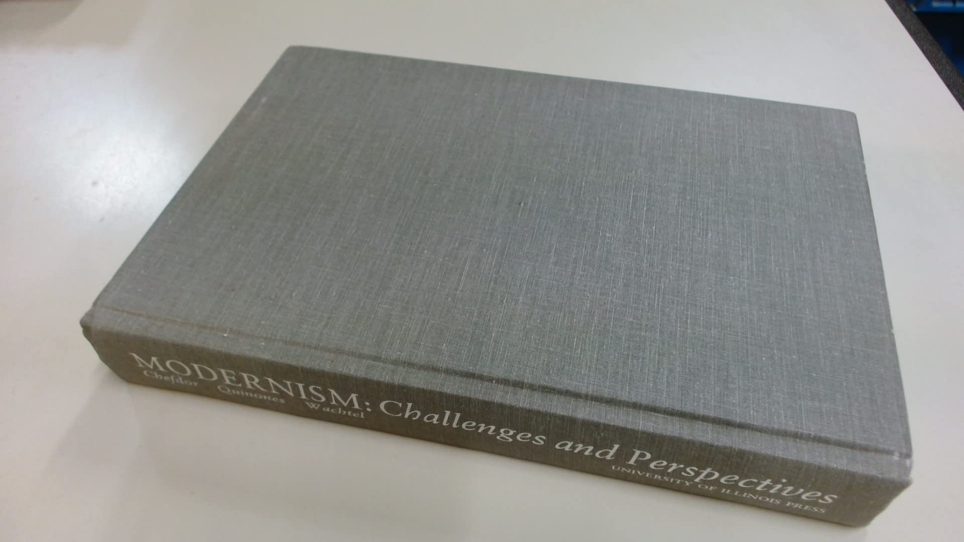 Modernism: Challenges and Perspectives (Hardcover)