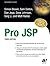 Pro JSP, Third Edition 3rd edition by Raible, Matt, Li, Sing, Johnson, Dave, Jepp, Daniel, Dalton, (2003) Paperback
