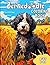 Bernedoodle Coloring Book: ...