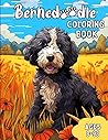 Bernedoodle Color...