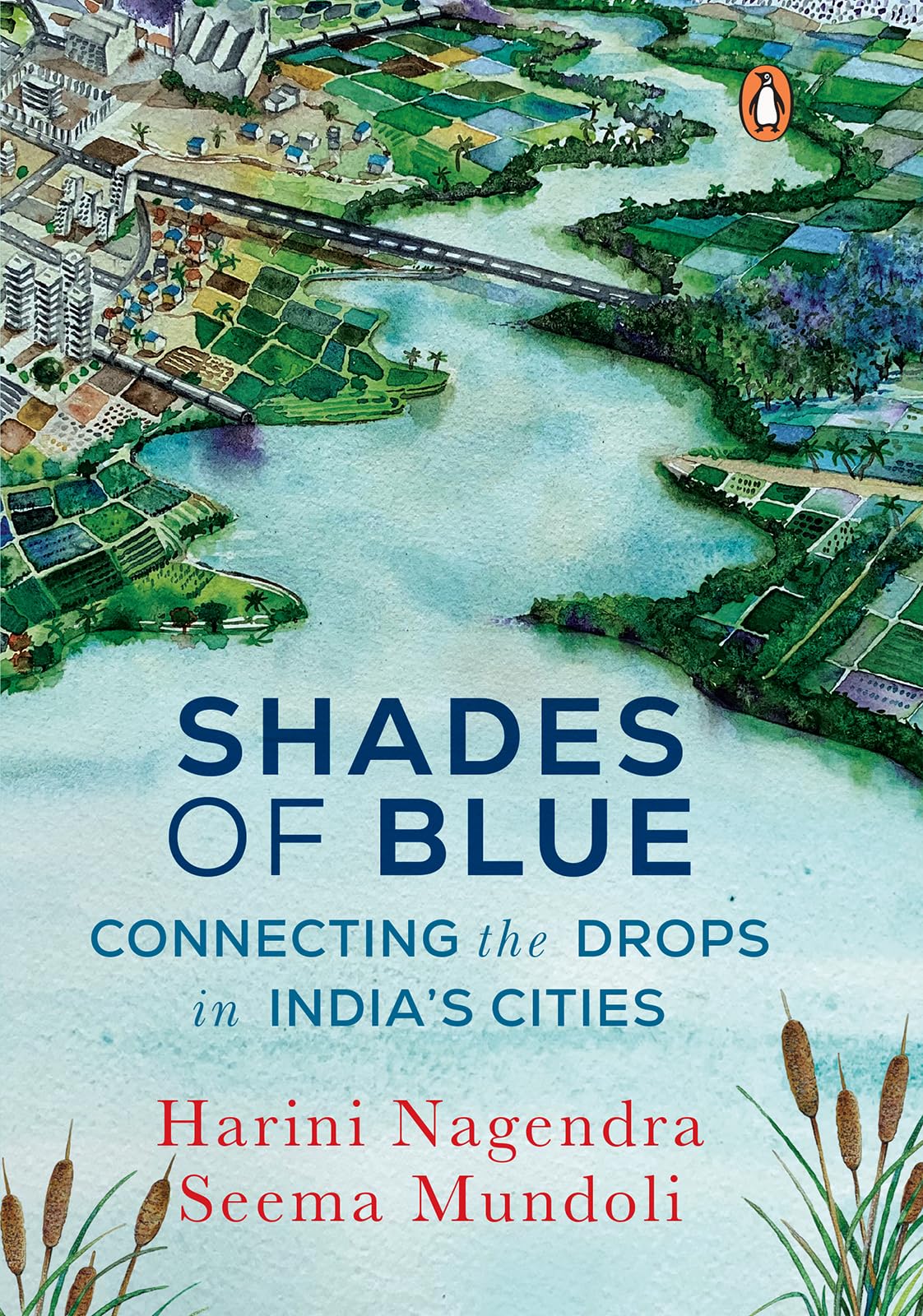 Shades of Blue: Connecting the Drops in India's Cities (Kindle Edition)