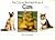 Concise Illustrated Book Of Cats, The