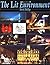 Lit Environment by Derek Phillips (2001-12-31)