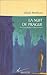La nuit de prague (French Edition)