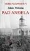 Pad andjela by Jukio Misima