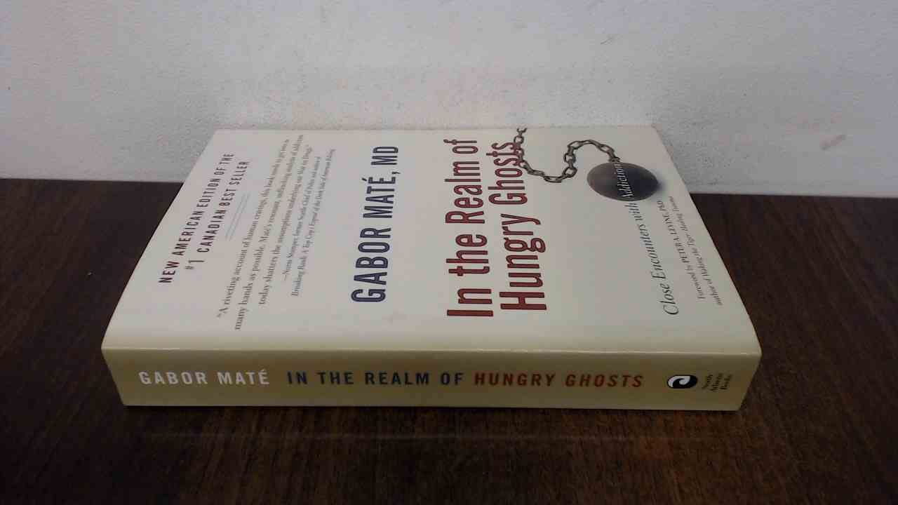 In the Realm of Hungry Ghosts: Close Encounters with Addiction by Mate, Gabor(Author)Paperback