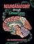 Neuroanatomy Through Clinic...