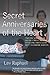 By Lev Raphael Secret Anniversaries of the Heart: New and Selected Stories by Lev Raphael [Paperback]