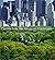 Central Park, An American Masterpiece: A Comprehensive History of the Nation's First Urban Park by Sara Cedar Miller (2003-04-01)