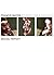 Francis Bacon: Studies for a Portrait by Michael Peppiatt (2008-11-18)