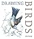 Drawing Birds by John Busby (2005-01-01)