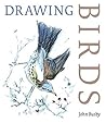 Drawing Birds by ...