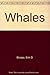 Whales by Erik Daniel Stoops (1995-06-03)
