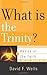 What Is the Trinity? (Basics of the Faith) by David F. Wells (2012-06-18)