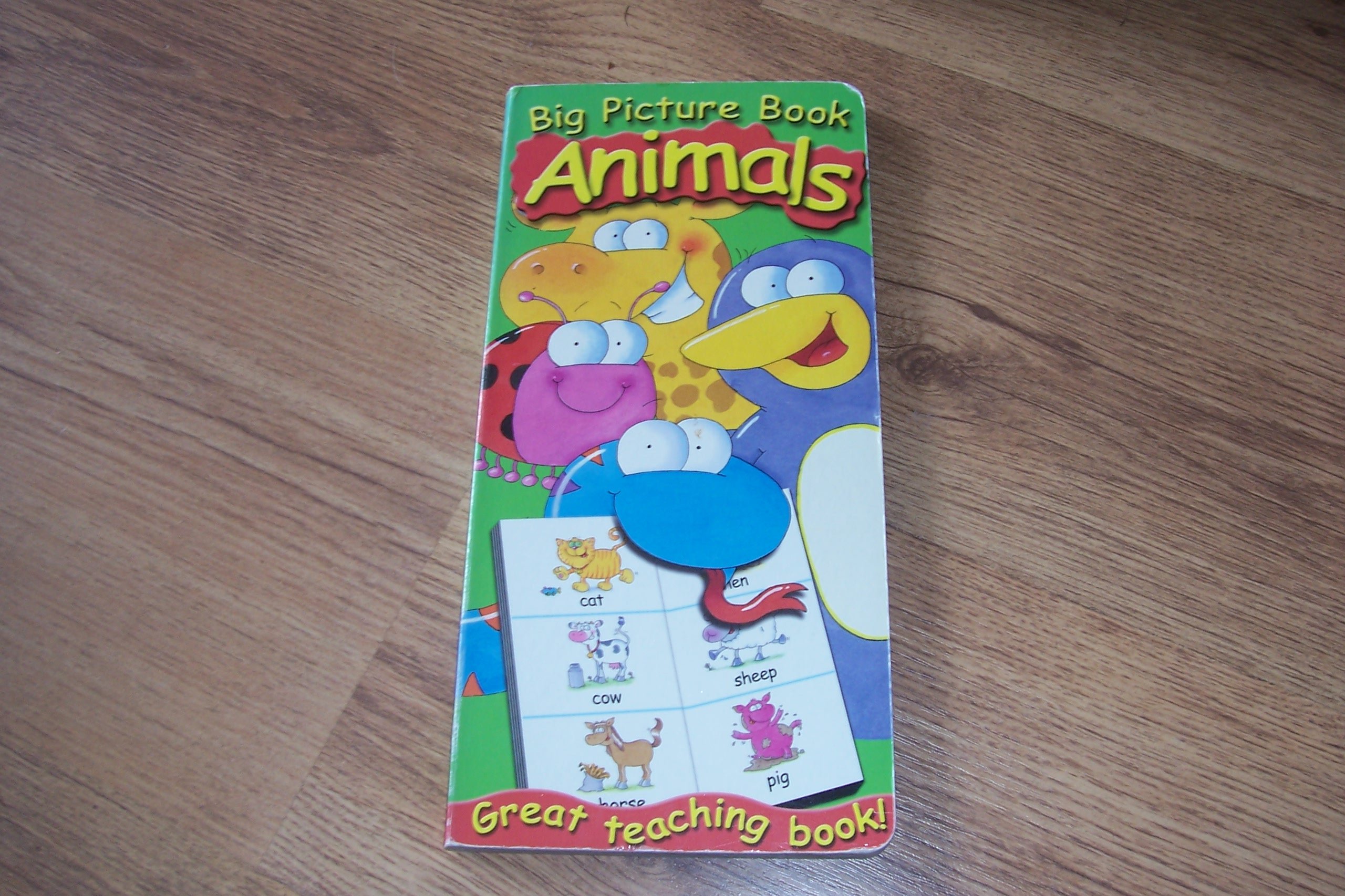 Big Picture Book - Animals (Board Book)