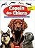 Copain des chiens : Comprendre et éduquer ton fidèle ami
