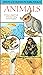 SIMON ANS SCHUSTER PICTURE POCKET: ANIMALS (PAPERBACK)